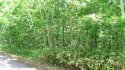 a vacant lot — Image 4, Morimachi, Hokkaido