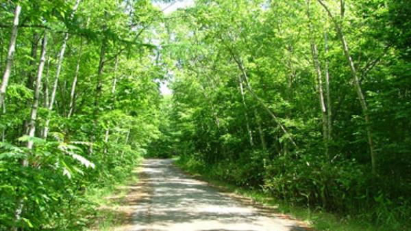 a vacant lot - Thumbnail 3