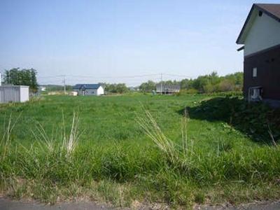429m² Residential Plot in Shimizu Town, Hokkaido — Image 1, Shimizu, Hokkaido