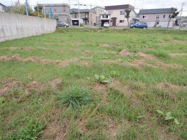 a vacant lot - Thumbnail 3