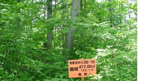 a vacant lot - Thumbnail 2