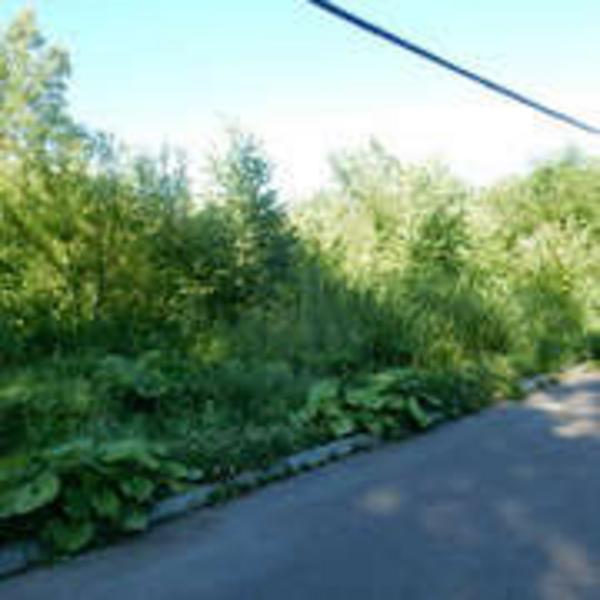 a vacant lot - Thumbnail 3