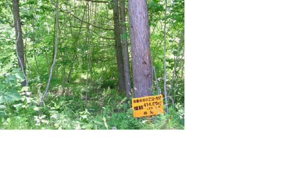 a vacant lot - Thumbnail 2