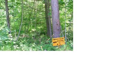 a vacant lot — Image 1, Morimachi, Hokkaido