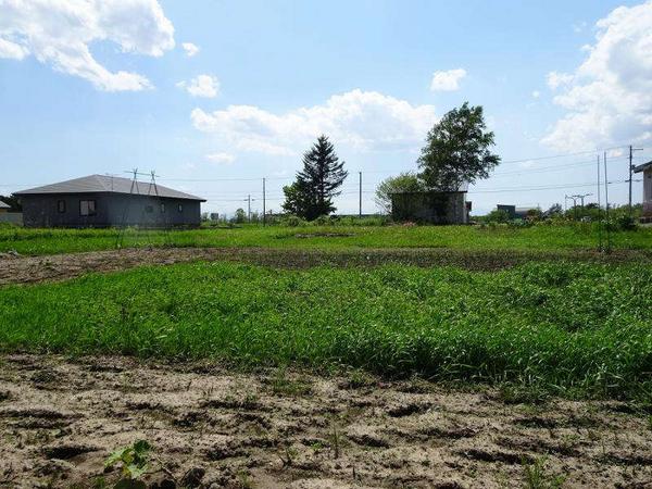 Vacant lot - Thumbnail 2