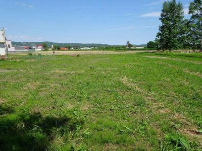 Vacant lot — Image 2, Ikeda, Hokkaido