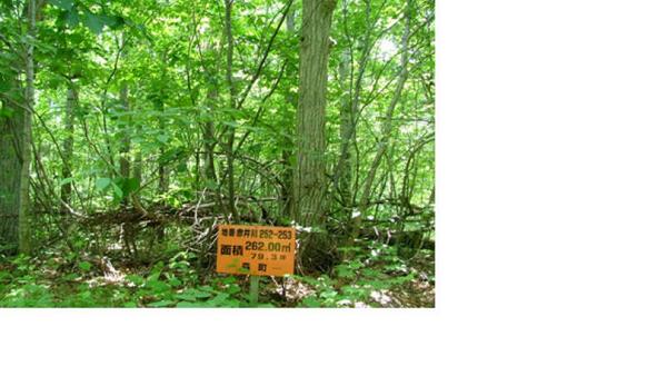 a vacant lot - Thumbnail 2