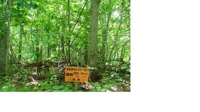 a vacant lot — Image 1, Morimachi, Hokkaido