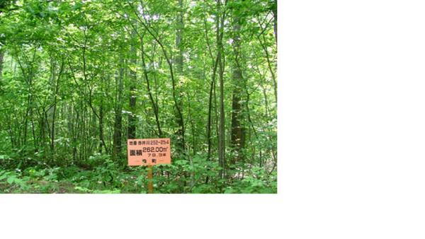 a vacant lot - Thumbnail 4