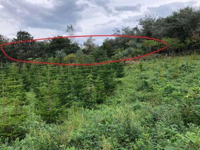 a vacant lot — Image 1, Morimachi, Hokkaido