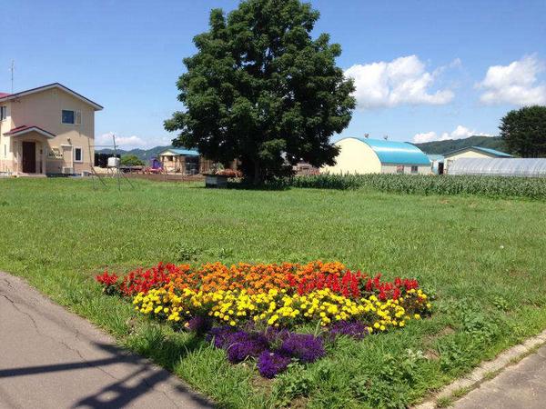 Vacant Land for Sale in Ikeda Town, Tokachi Region - Thumbnail 2