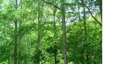 a vacant lot — Image 4, Morimachi, Hokkaido