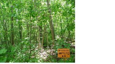 a vacant lot — Image 1, Morimachi, Hokkaido