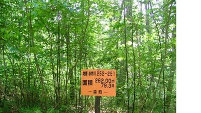 a vacant lot — Image 1, Morimachi, Hokkaido