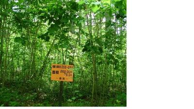 a vacant lot — Image 3, Morimachi, Hokkaido