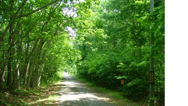 a vacant lot - Thumbnail 3