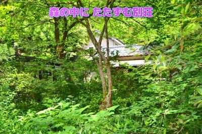 Log Cabin Style Villa in Gosen - 1,923m² Land with Mountain Views — Image 1, Gosen, Niigata