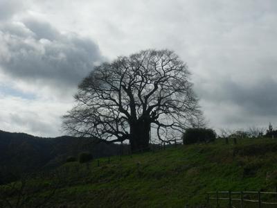 Traditional 8K House in Maniwa Mountains - 774m² Plot — Image 3, Maniwa, Okayama