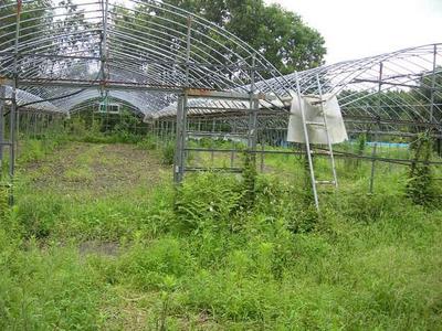 [Hatomark Site] 5LDK used detached house in Yashiro Kitamata, Kunitomi-cho, Higashimorokata-gun, Miyazaki Prefecture — Image 3, Kunitomi, Miyazaki