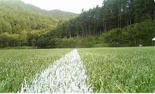 Traditional Mountain Home with 1,551m² Land in Kawakami Village — Land, Kawakami, Nagano