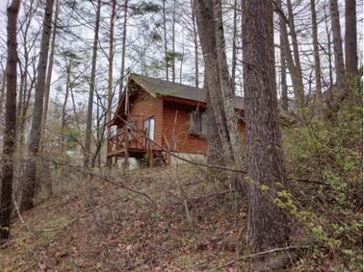 Traditional Mountain Home with 1,551m² Land in Kawakami Village — Land, Kawakami, Nagano