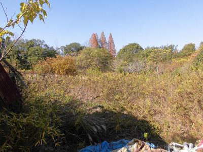 Traditional Single-Story Home Near Flower Center in Kasai City — Image 1, Kasai, Hyogo