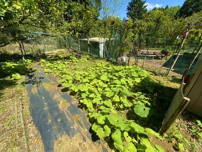 [Hatomark Site] 2SK Used Detached House in Kamiueno, Katsuura City, Chiba Prefecture — Image 3, Katsuura, Chiba