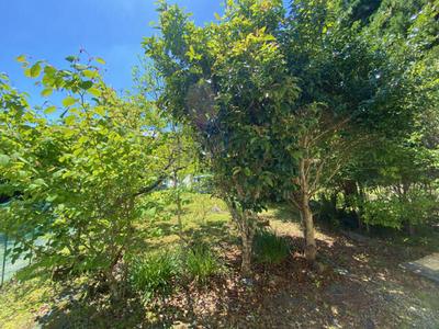 [Hatomark Site] 2SK Used Detached House in Kamiueno, Katsuura City, Chiba Prefecture — Image 2, Katsuura, Chiba