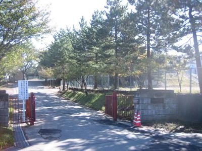 2LDK Used House in Kashiwazaki City, Niigata — Image 3, Kashiwazaki, Niigata