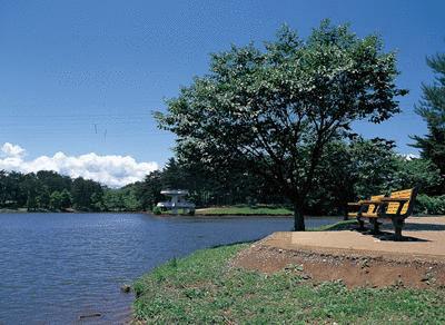 New 3LDK House for Sale in Tsurugaya, Sendai — Image 1, Miyagino, Miyagi