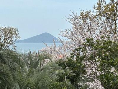 Traditional 3-Story House with Large Land in Itoshima — Image 2, Itoshima, Fukuoka