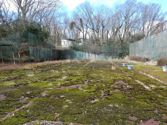 Spacious 3SLDK House in Ito, Shizuoka - Thumbnail 4