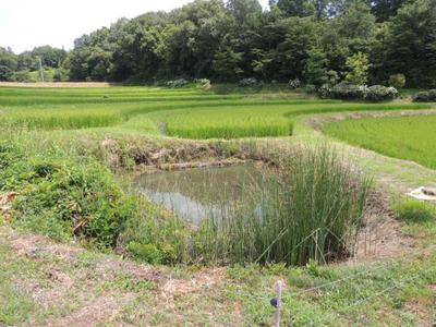 [Hatomark Site] 3K Used Detached House in Minamihata, Kumenan-cho, Kume-gun, Okayama Prefecture — Image 4, Kumeninami, Okayama