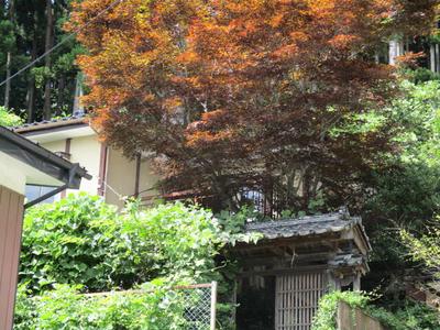 Spacious 6K House in Kamaishi with Large Land Plot — Garden, Kamaishi, Iwate