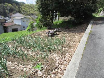 [Hatomark Site] Kirioka Residence, 12DK, Used Detached House, Nishikata, Niimi City, Okayama Prefecture — Image 1, Niimi, Okayama