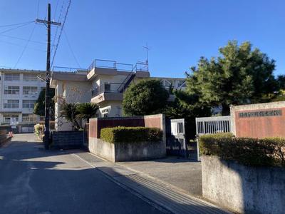 Modern 3-Story House with Cat-Friendly Features in Shizuoka — Image 1, Aoi, Shizuoka