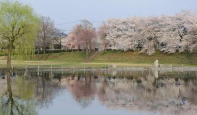 Spacious 6LDK Family Home in Shimotsuke City - Corner Plot — Image 1, Shimotsuke, Tochigi