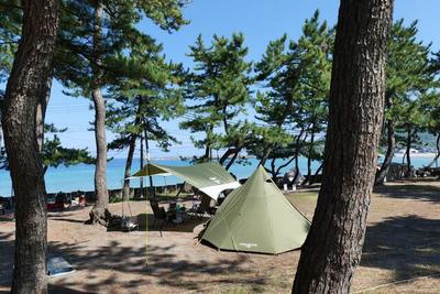 Mixed-Use Property in Takahama - Store with 3LDK Residence — Image 3, Takahama, Fukui