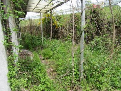 Traditional 3LDK House Near Mifune River, Yamato Town — Image 2, Yamato, Kumamoto