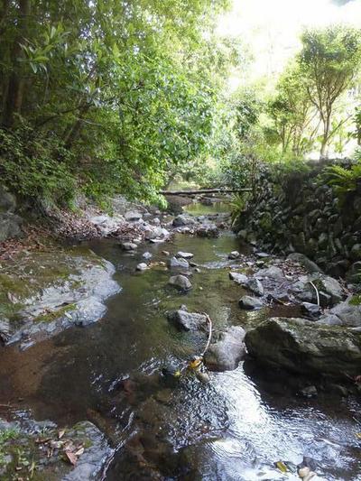 Large 3LDK House for Sale in Hirogawa, Wakayama — Image 3, Hirokawa, Wakayama