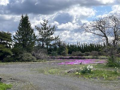[Hatomark Site] Akita Prefecture Katagami City Iida River Iizuka Aza Hinoshita 28 Katagami City Iida River Iizuka Aza Hinoshita Used House 9DK Used Detached House — Image 2, Katakami, Akita