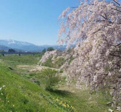 Spacious Single-Story Home with Large Garden in Yonezawa City — Image 2, Yonezawa, Yamagata