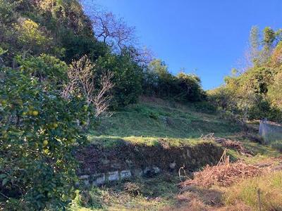 Historic 1914 House with Large Land in Yahata, Oita City — Land, Oita, Oita