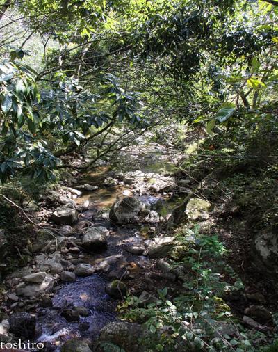 Traditional 8DK House with Stream in Kijo Mountains, Miyazaki — Image 3, Kijo, Miyazaki