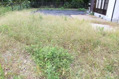 3LDK House in Kujukuri with 101 Tsubo Land — Image 4, Kujukuri, Chiba