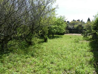 7DK Used House in Minamisatsuma City, Kagoshima — Image 2, Minamisatsuma, Kagoshima