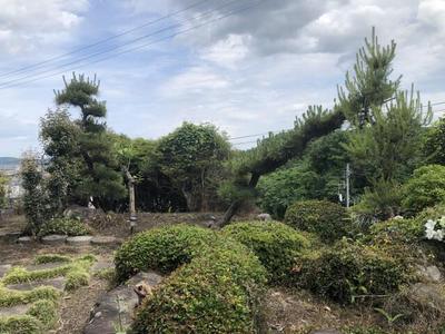 Traditional 5K House with Large Land in Shibata, Miyagi — Image 3, Shibata, Miyagi