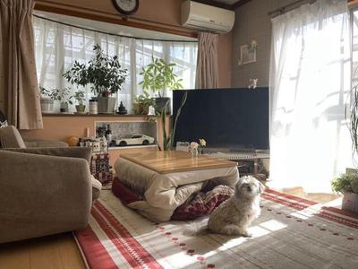 Spacious 2LDK House for Sale in Okagaki, Fukuoka — Image 1, Okagaki, Fukuoka