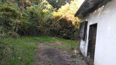 [Hatomark Site] Okayama Prefecture Tomata-gun Koza Old House Forest 4K Used Detached House — Image 1, Kagamino, Okayama