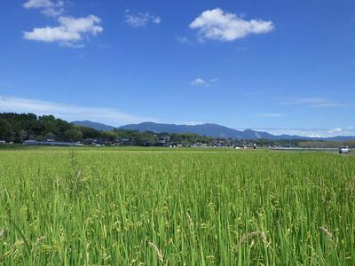 6DK House in Uetsuki Higashi, Shoo-cho - 201 Tsubo Land — Image 4, Katsuo, Okayama